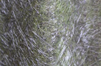 Gundleton fibreglass roof work